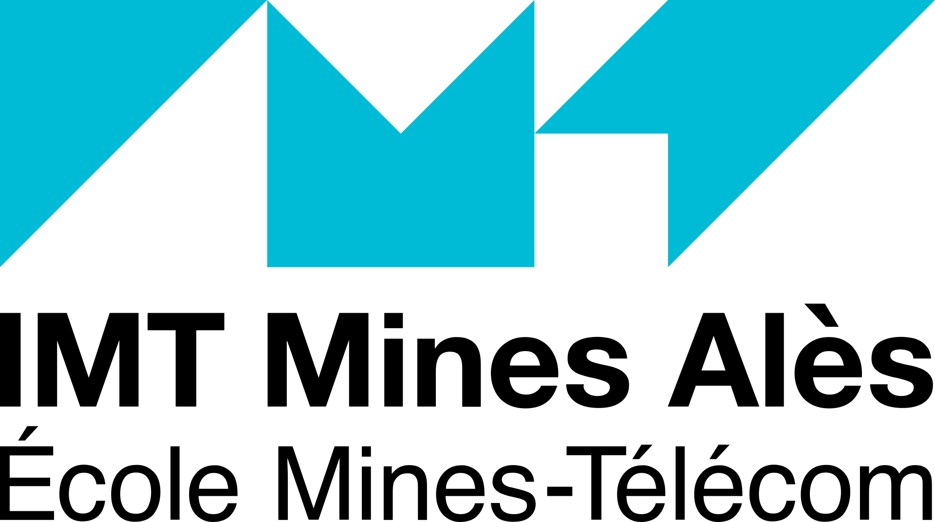 IMT